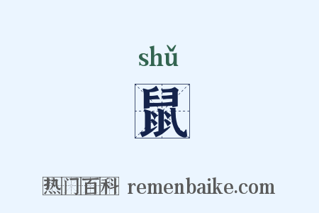 鼠是什么意思的图片